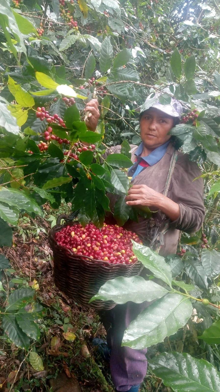 Long Distance — 813 Coffee Co